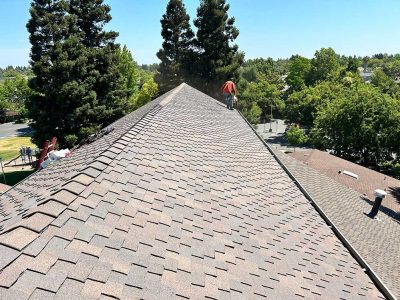 Shingle Roof Maintenance